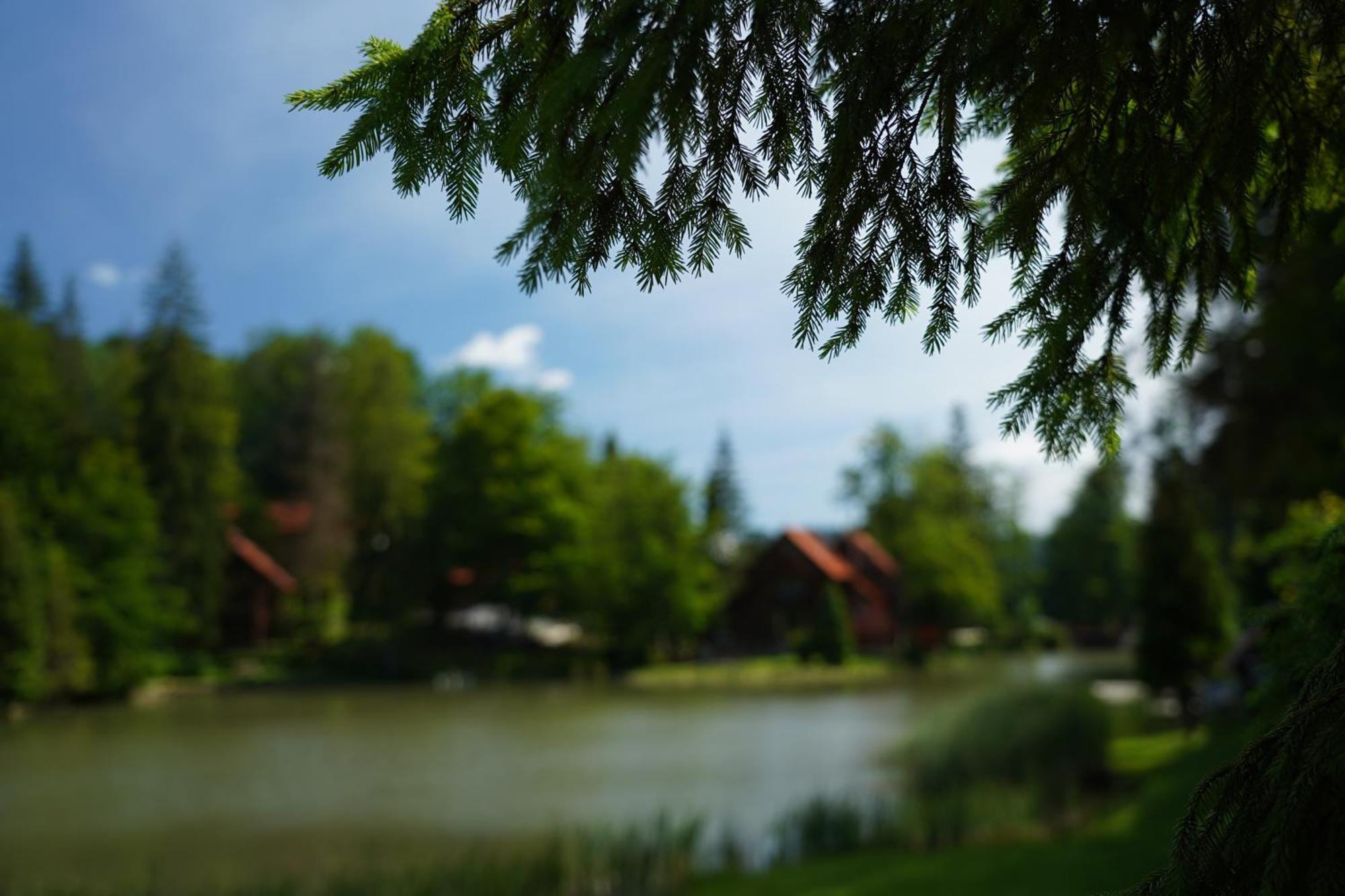 Hotel Ozero Vita Nizhniy Studenyy Bagian luar foto